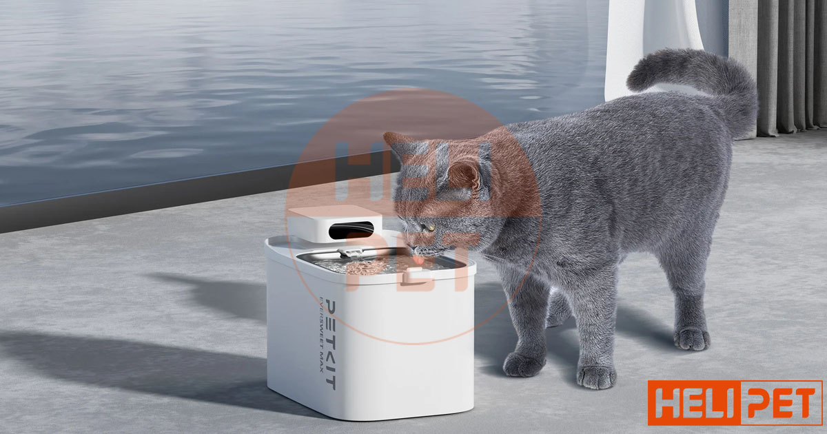 máy lọc nước PETKIT Eversweet Max 3L