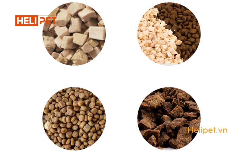 Máy cho ăn tự động PETKIT Fresh Element Solo