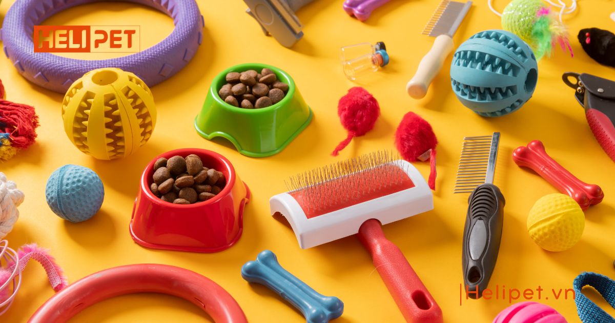 Phụ kiện chó mèo