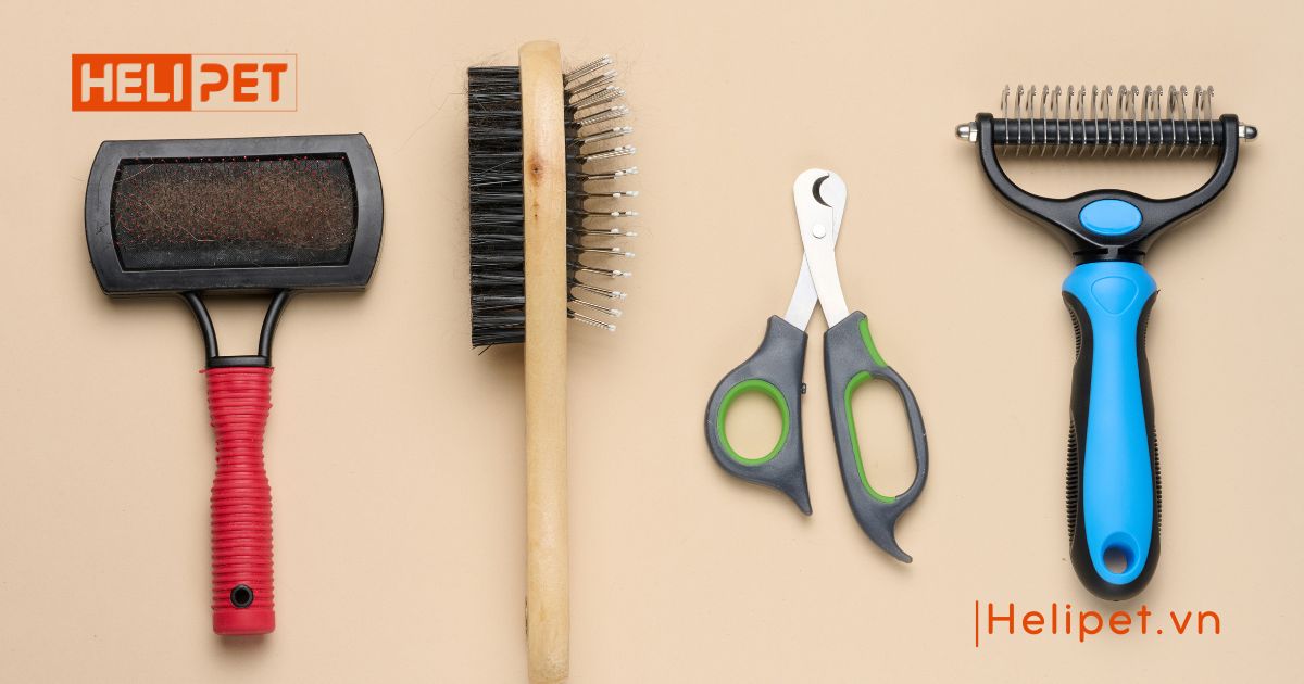 Phụ kiện chó mèo