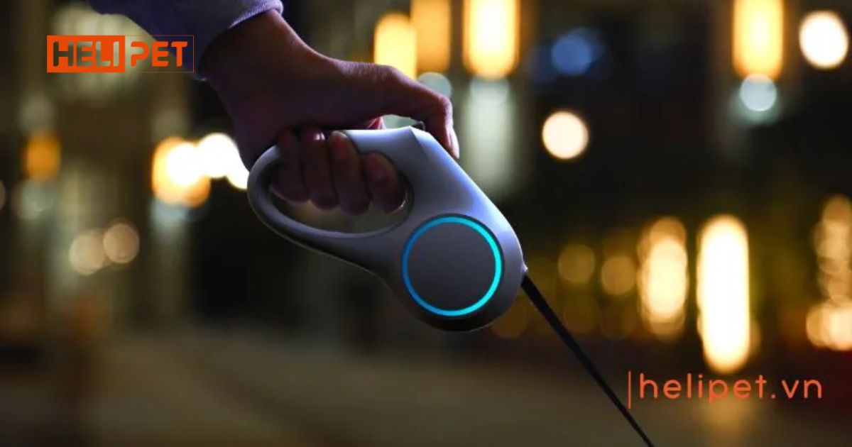 Phụ kiện chó mèo