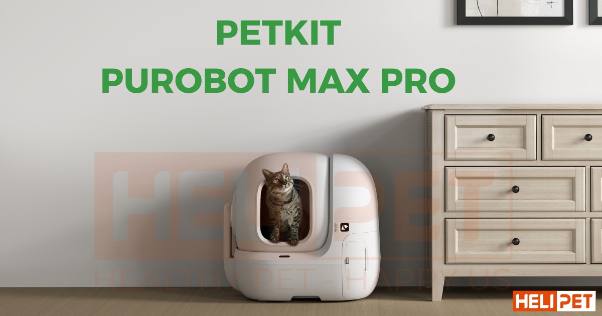 Máy dọn vệ sinh mèo PETKIT PUROBOT MAX PRO