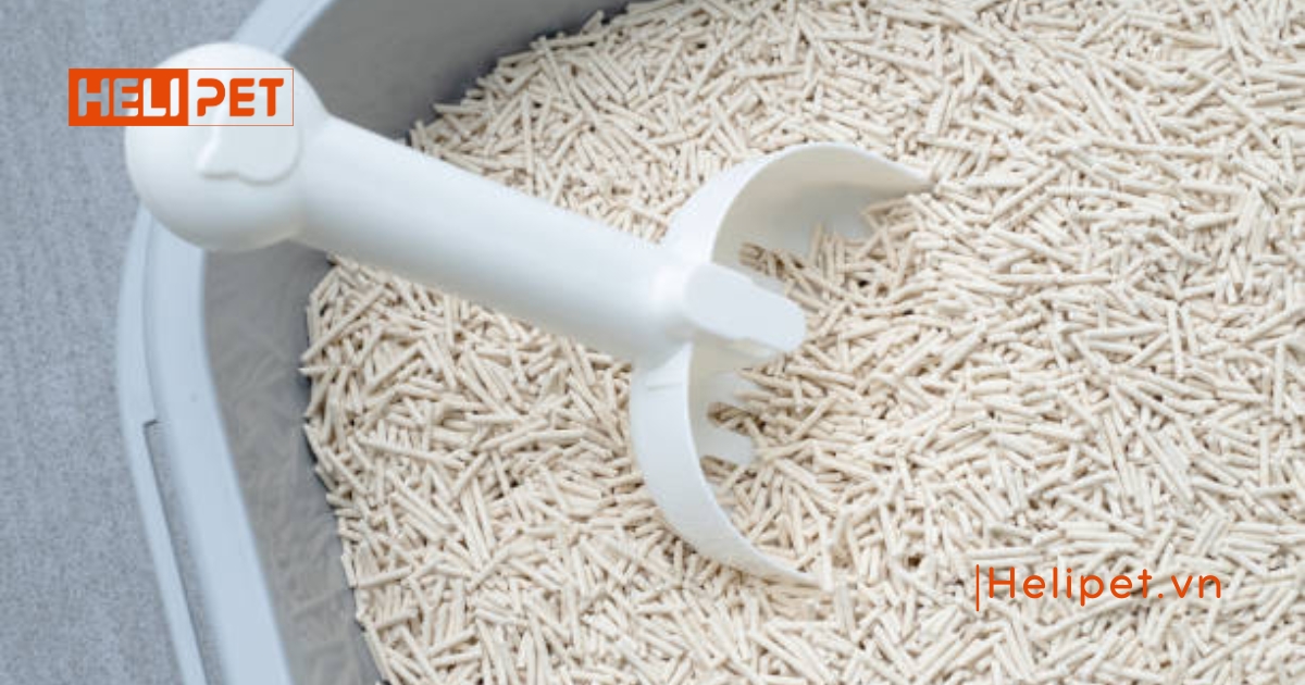 Review cát đậu nành cho mèo