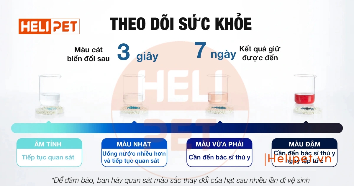 Review cát đậu nành cho mèo