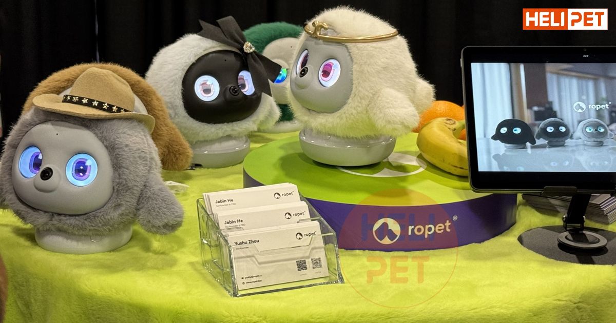 Robot thú cưng: Kết hợp cảm xúc và công nghệ hiện đại