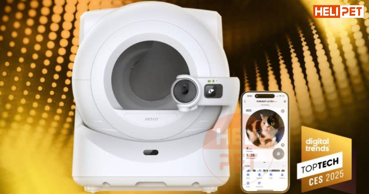 Pekit đoạt giải thưởng Top Tech of CES 2025