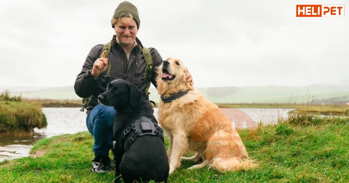 Công nghệ vệ tinh và AI dành cho thú cưng