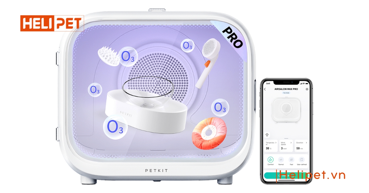 Sửa lồng sấy lông chó mèo