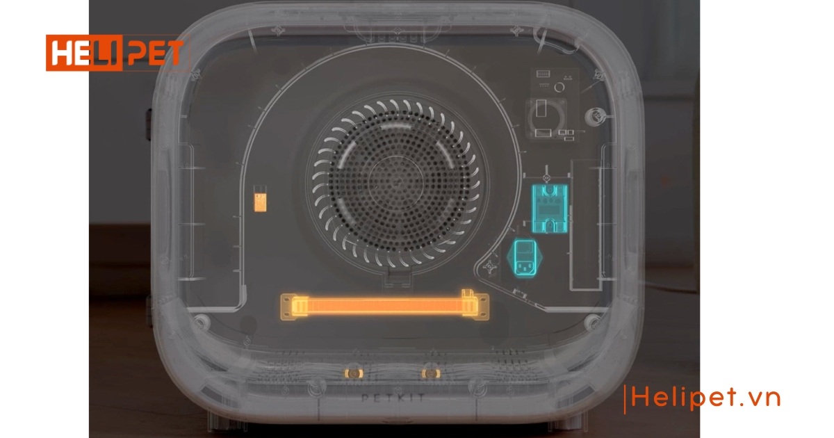 Sửa lồng sấy lông chó mèo