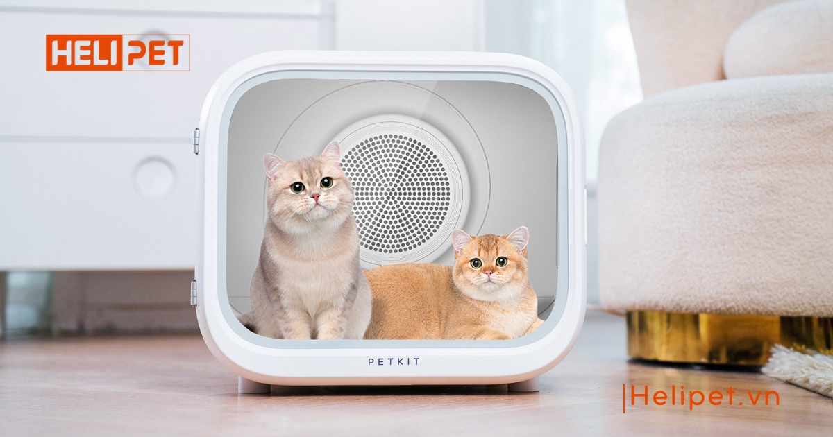 Sửa lồng sấy lông chó mèo