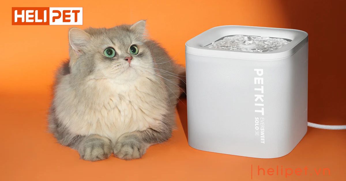 máy lọc nước PETKIT Eversweet SOLO SE