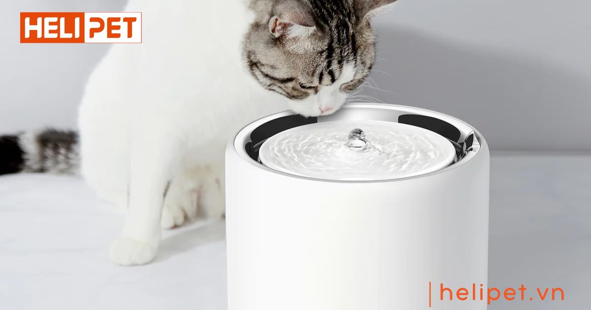 máy lọc nước PETKIT Eversweet 3 Pro UVC