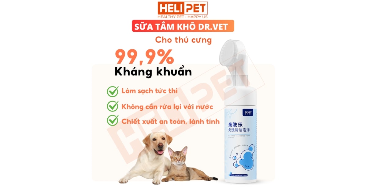 Sữa tắm khô cho chó mèo