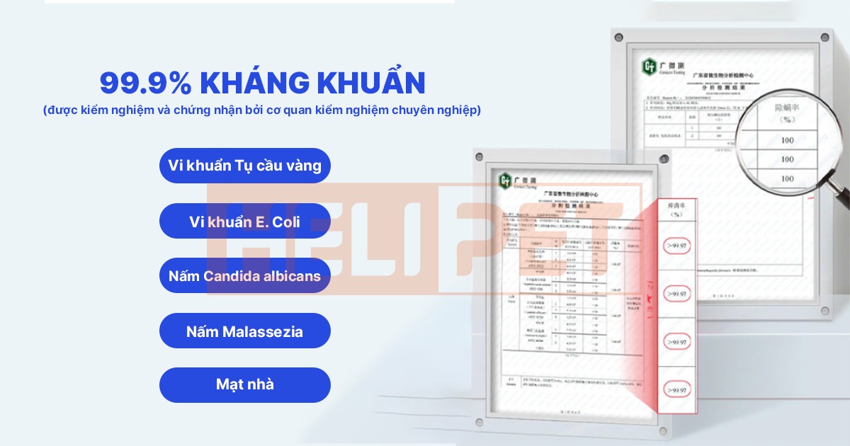 Sữa tắm khô cho chó mèo DR.VET