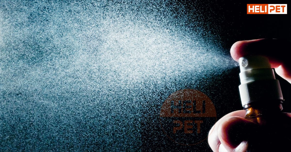 Sữa tắm khô cho mèo có tốt không