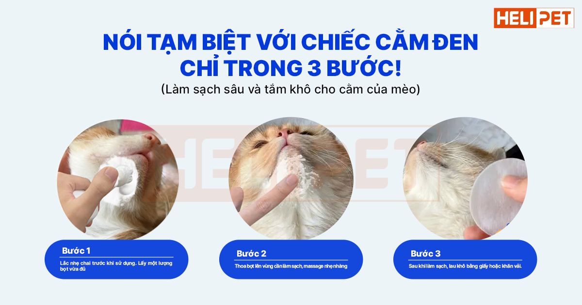 Sữa tắm khô cho mèo có tốt không