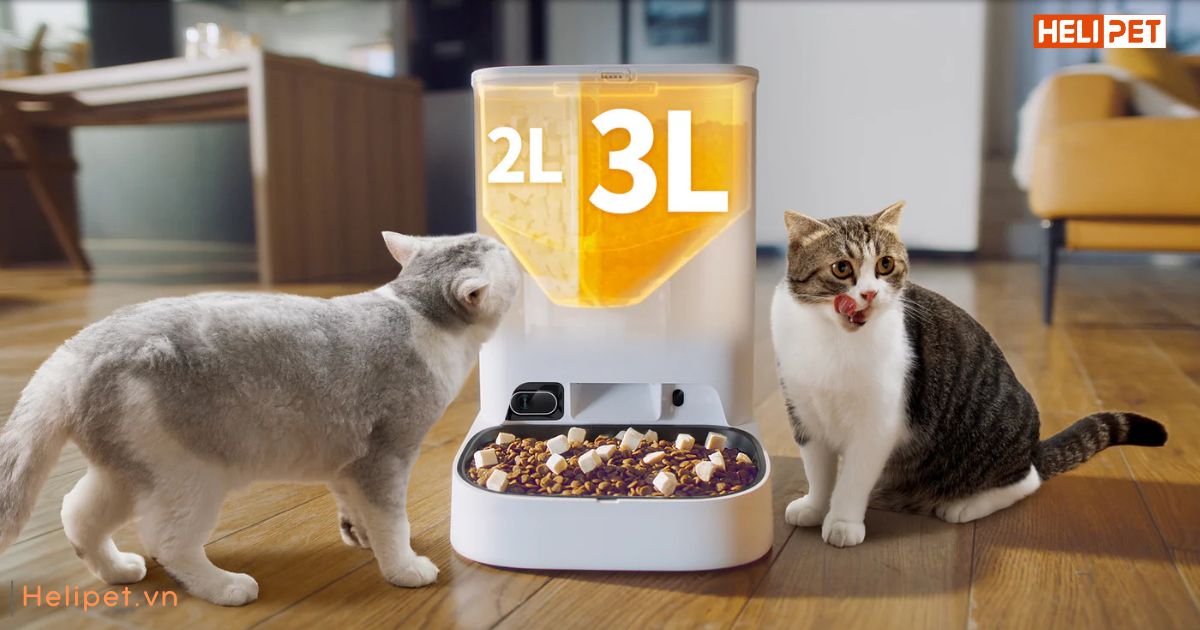 Thức ăn cho mèo bị suy thận