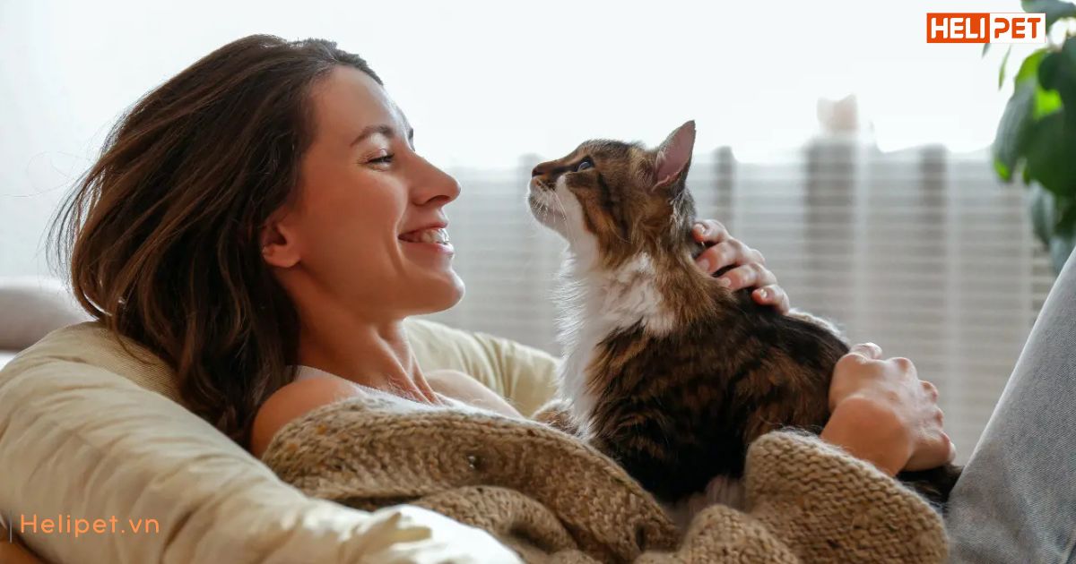 Thức ăn cho mèo bị suy thận