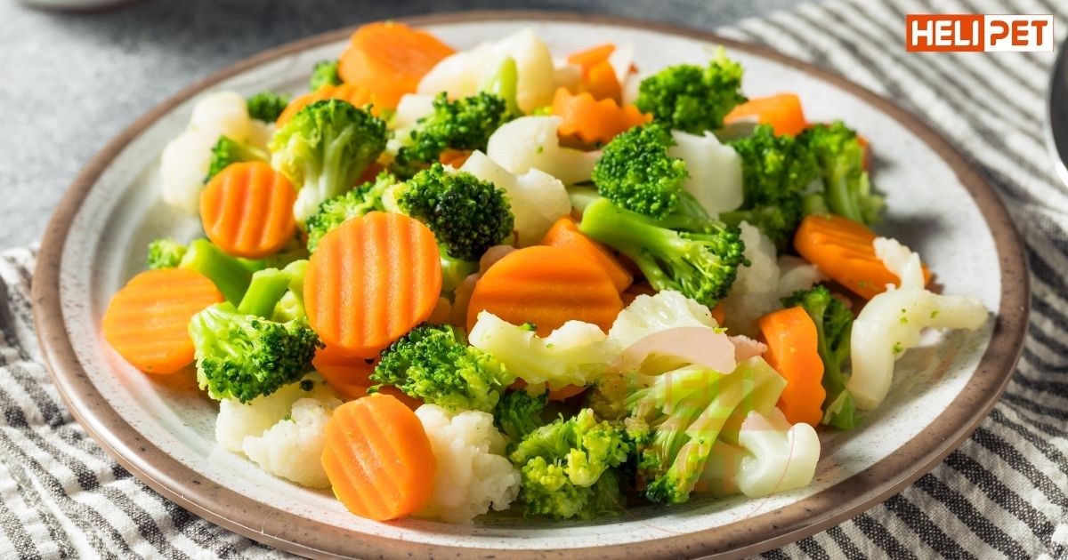 Những loại thức ăn cho mèo con 1 tháng tuổi mà Sen nên biết