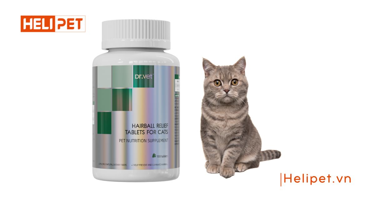 TOP 12 thức ăn tiêu búi lông lông cho mèo