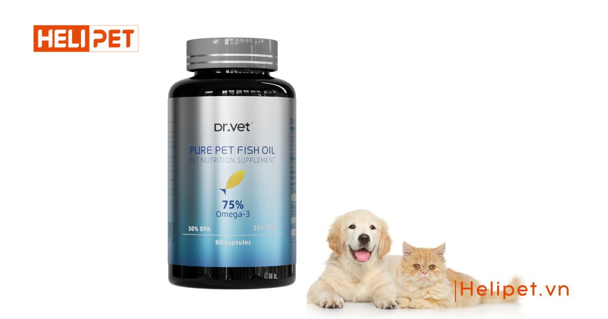 thực phẩm chức năng cho chó mèo