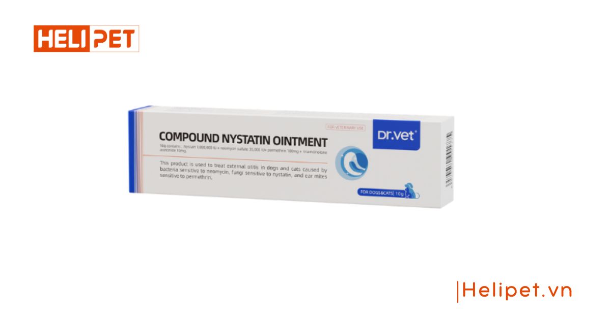 dấu hiệu mèo bị viêm tai - thuốc trị viêm tai rận tai cho mèo