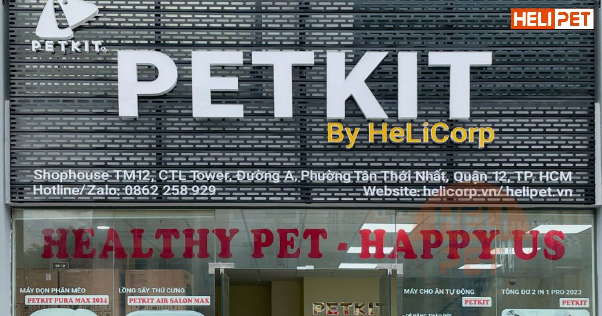 thuốc trị viêm tai cho chó