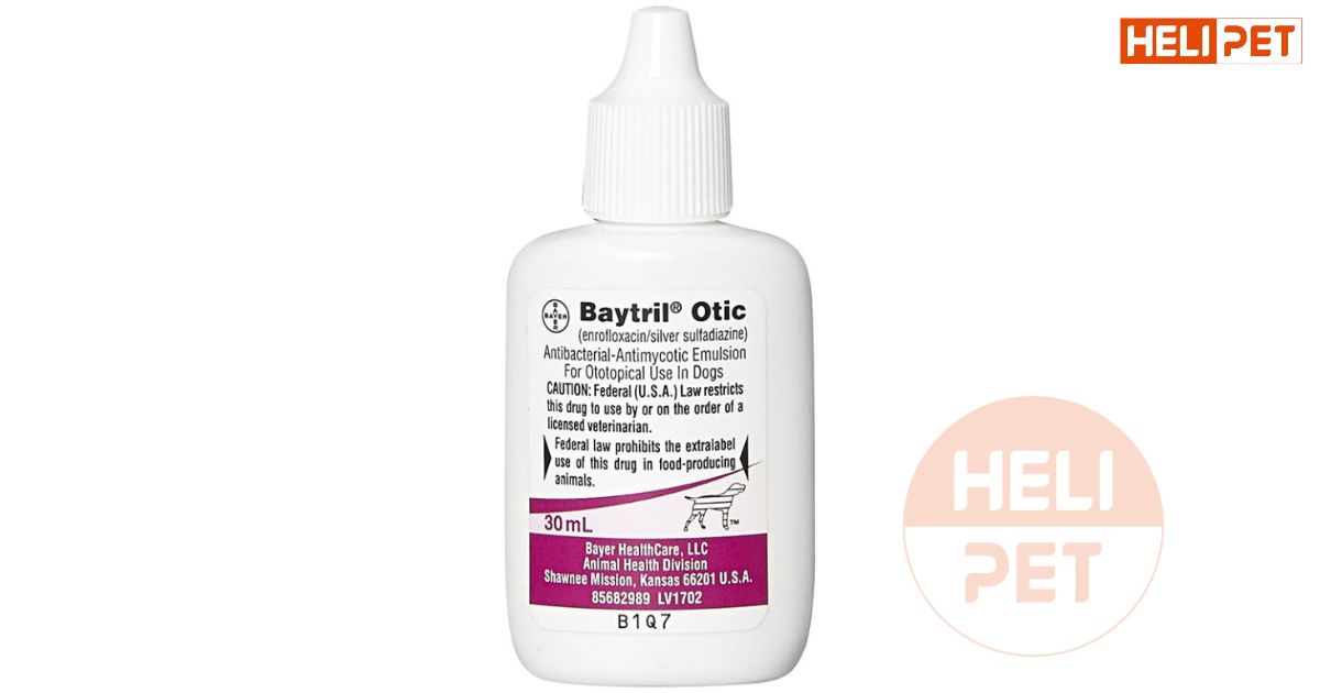 thuốc trị viêm tai cho chó