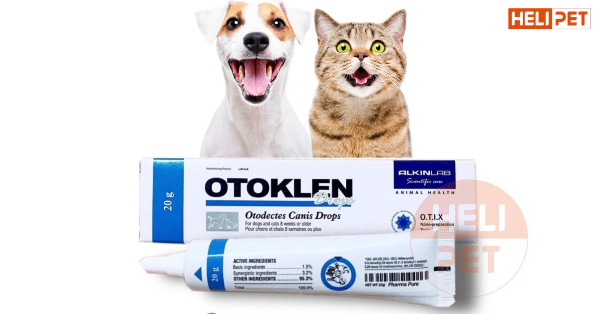 thuốc trị viêm tai cho chó