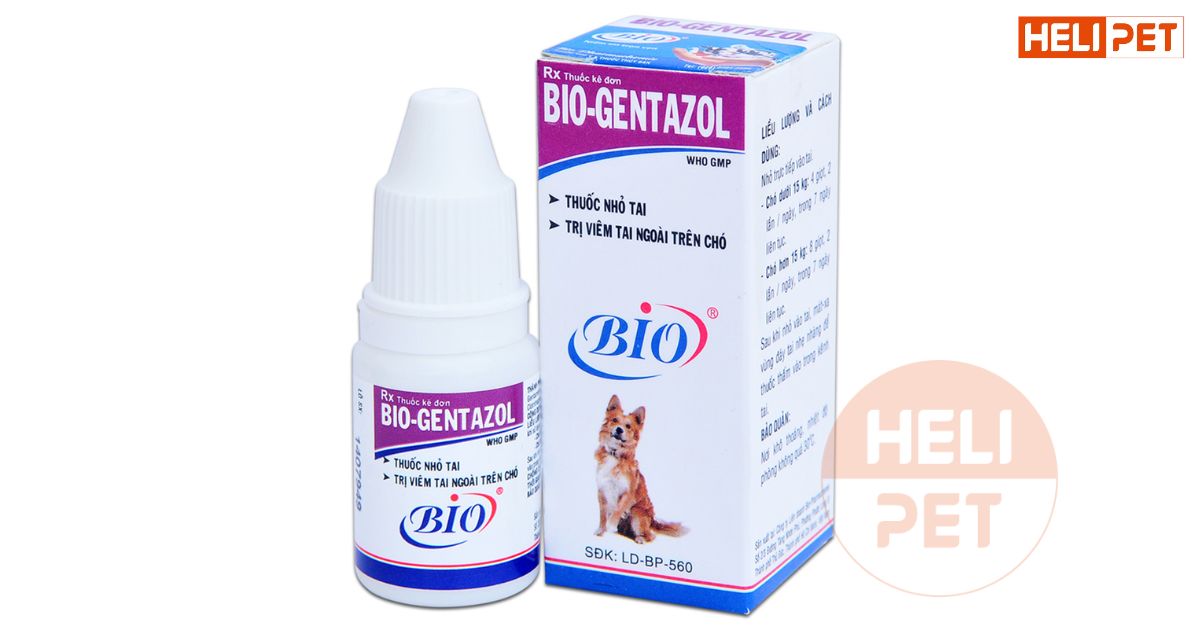 thuốc trị viêm tai cho chó