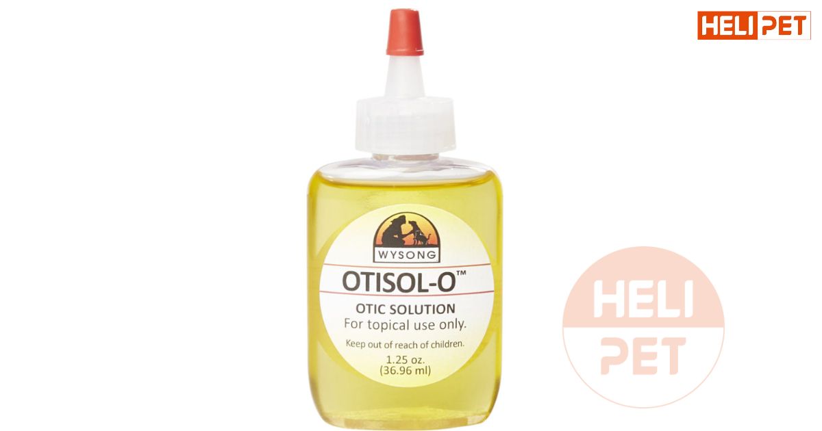 thuốc trị viêm tai cho chó