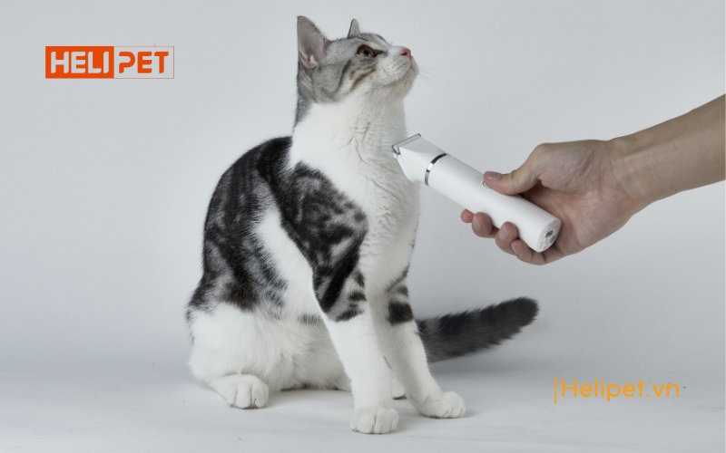 tông đơ cắt lông chó mèo PETKIT 2in1 Pro