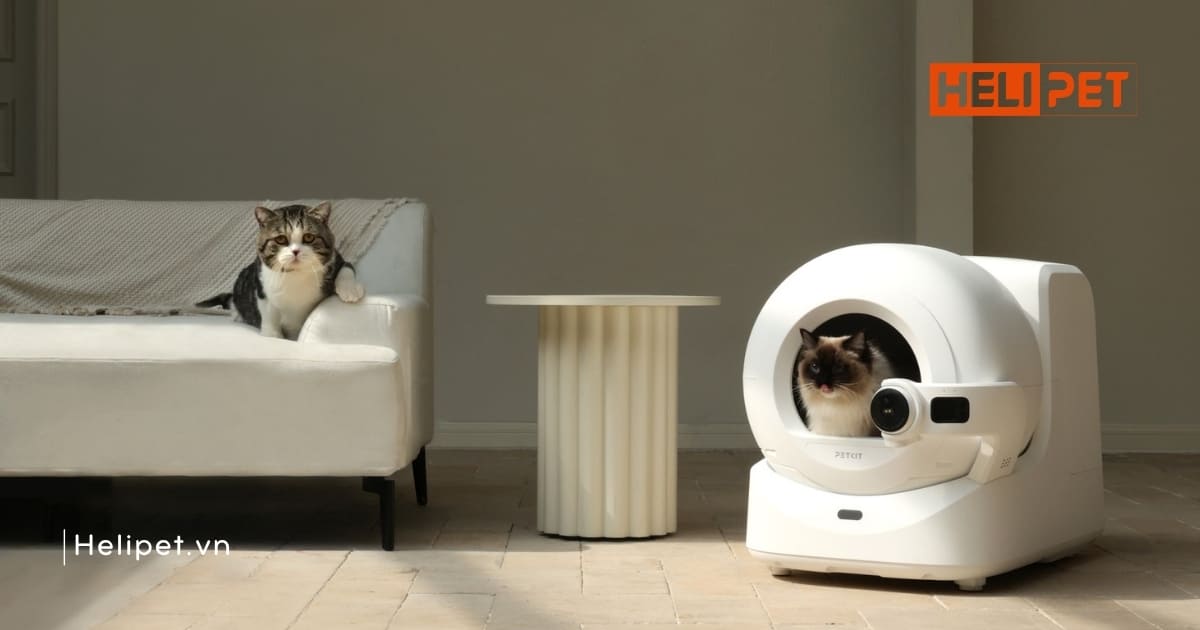 Máy dọn vệ sinh mèo cao cấp PETKIT Purobot Ultra có Camera AI