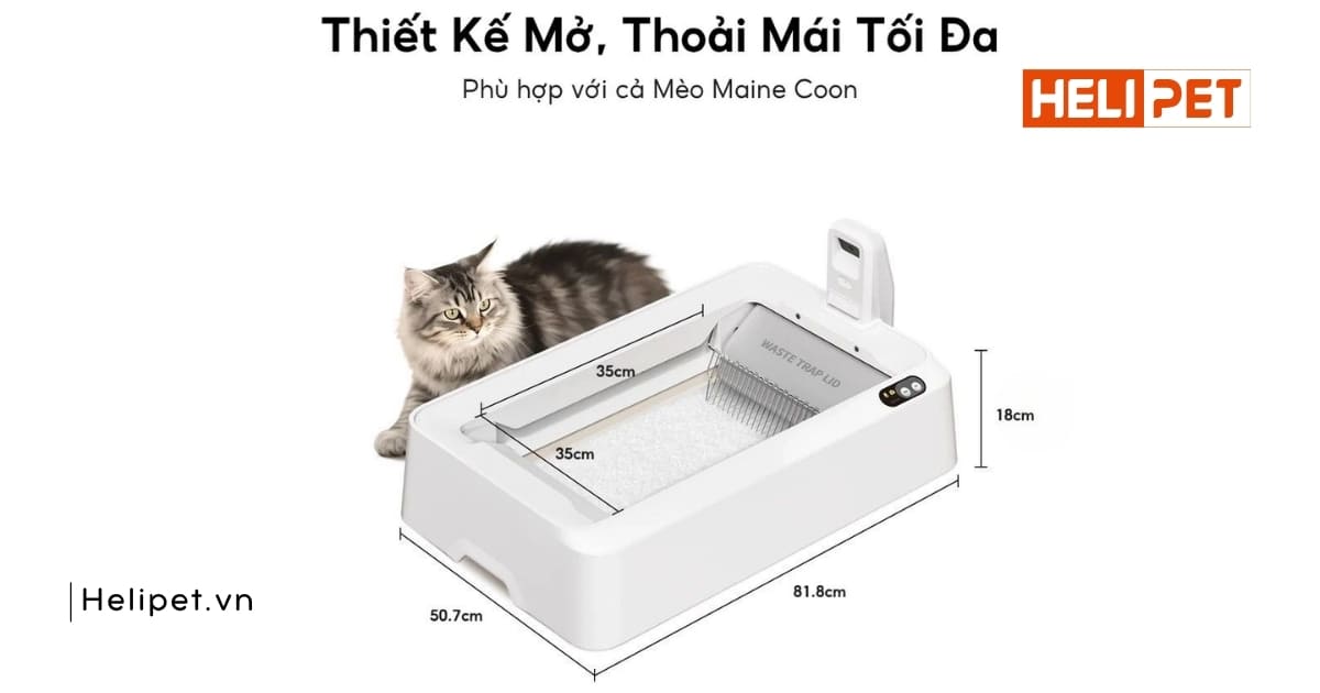 Thiết kế open-top, thoải mái sử dụng
