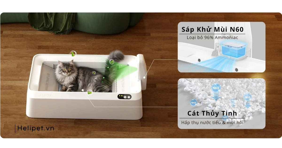 Cơ chế khử mùi của PETKIT Crystal Duo thân thiện với môi trường