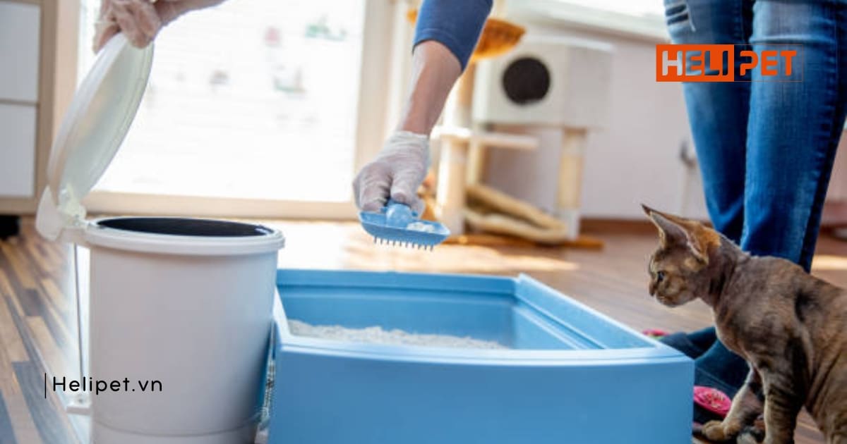 Biến việc dọn dẹp thủ công thành tự động