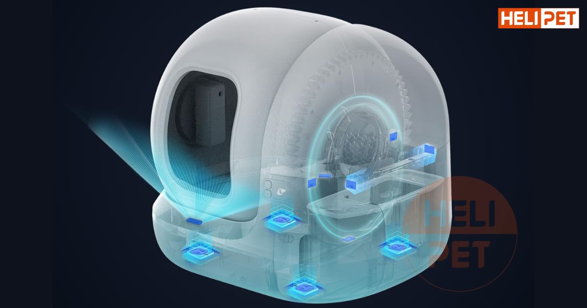 TOP 7 máy dọn phân mèo đáng mua