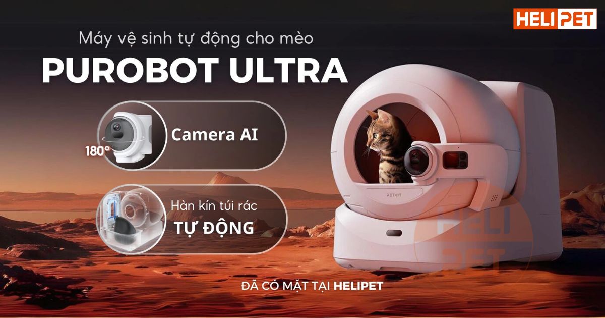 TOP 7 máy dọn phân mèo đáng mua