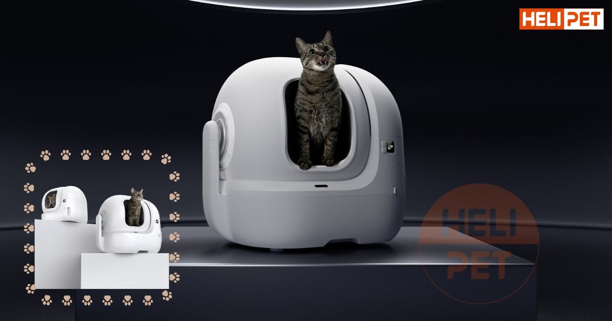 TOP 7 máy dọn phân mèo đáng mua