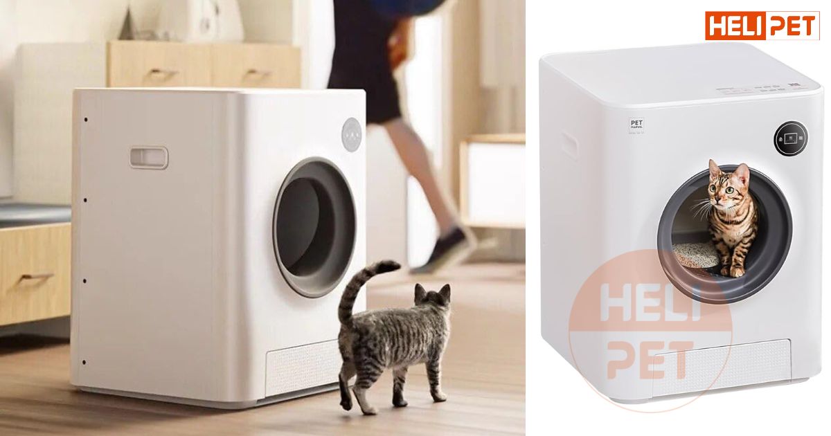 TOP 7 máy dọn phân mèo đáng mua