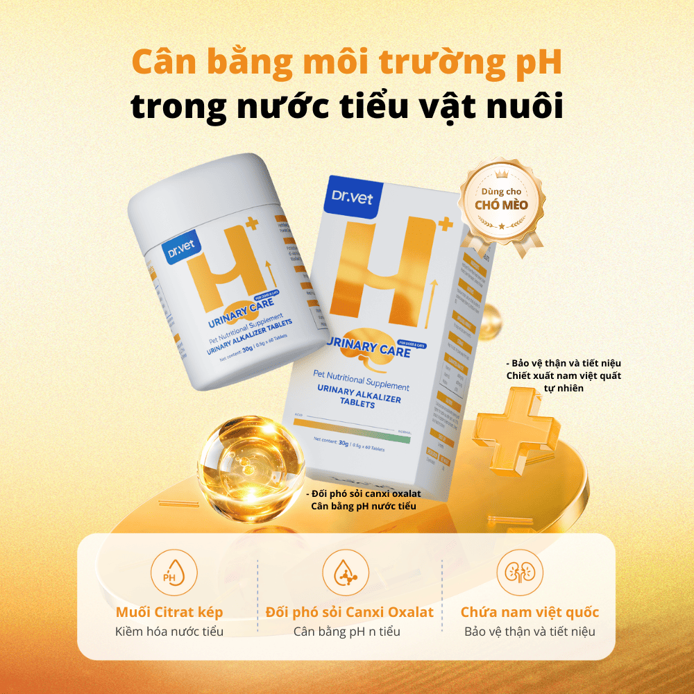 Viên kiềm hóa tiết niệu cho chó mèo Dr.Vet - vàng cam