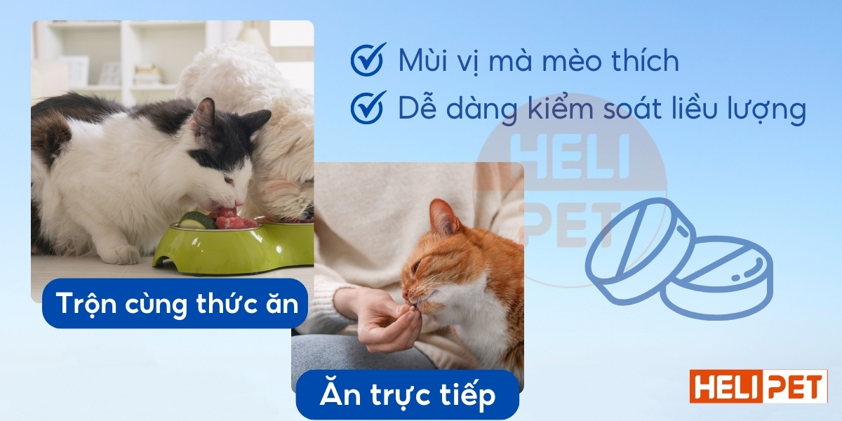 viên tiêu búi lông cho mèo DR.VET