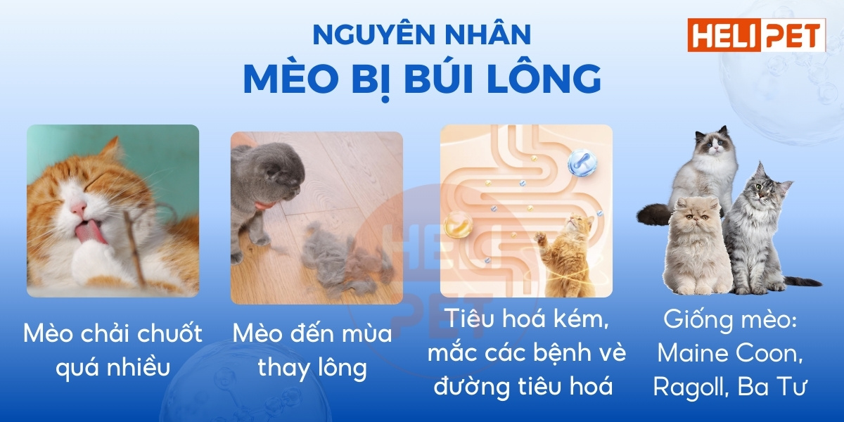viên tiêu búi lông cho mèo DR.VET