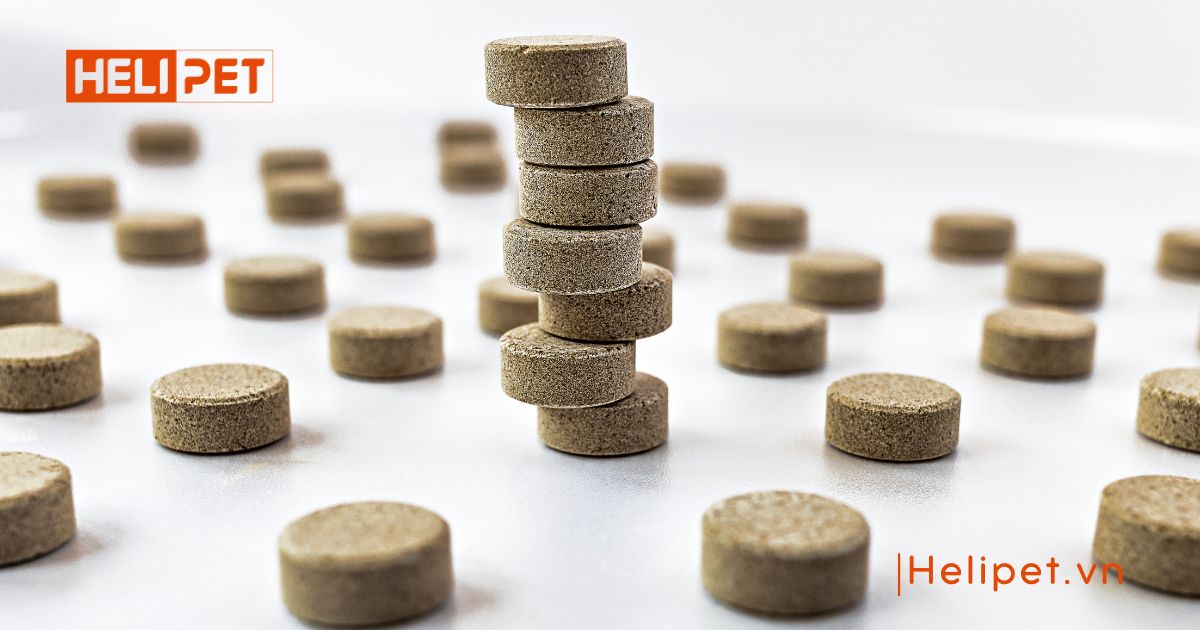 Viên tiêu búi lông cho mèo