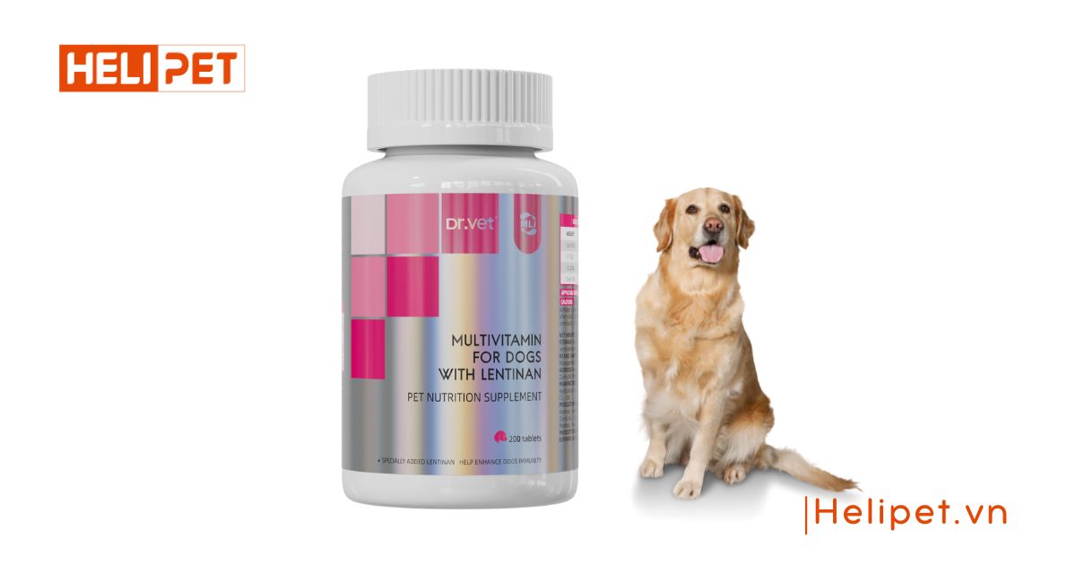 Vitamin tổng hợp cho chó chứa Lentinan thương hiệu DR.VET