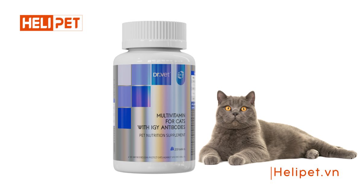 Vitamin tổng hợp cho mèo có kháng thể IGY thương hiệu DR.VET