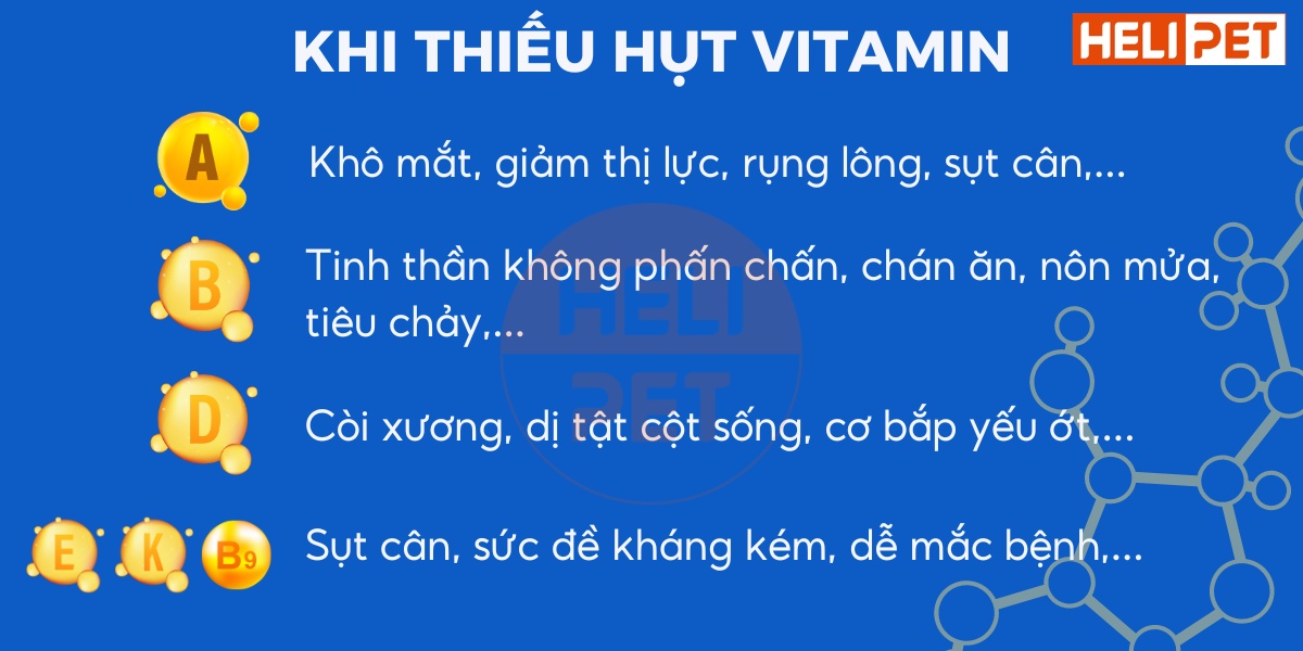 vitamin tổng hợp cho mèo DR.VET có kháng thể IGY
