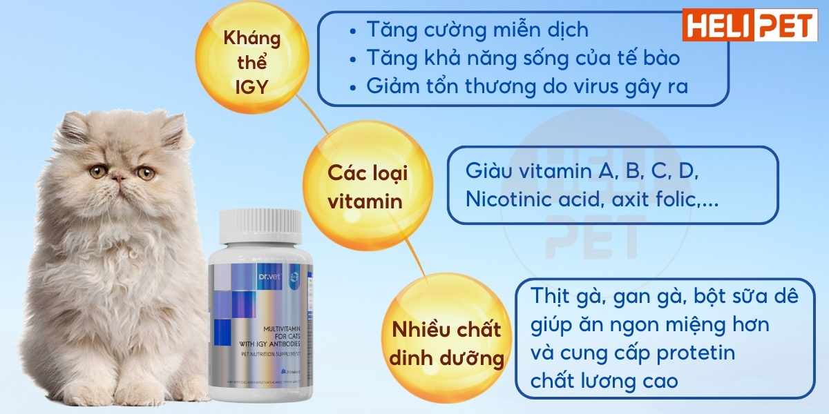 vitamin tổng hợp cho mèo DR.VET có kháng thể IGY