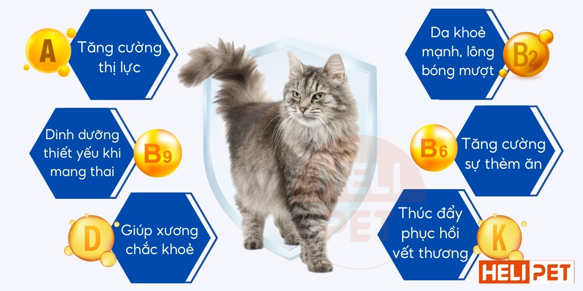 vitamin tổng hợp cho mèo DR.VET có kháng thể IGY