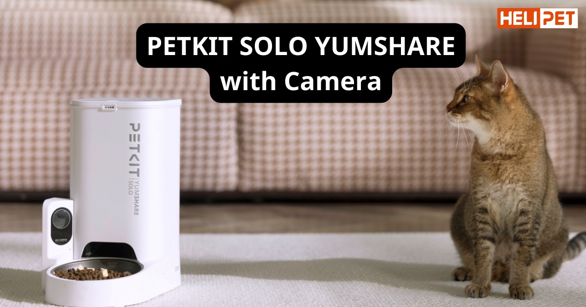 máy ăn có camera Petkit Solo YumShare